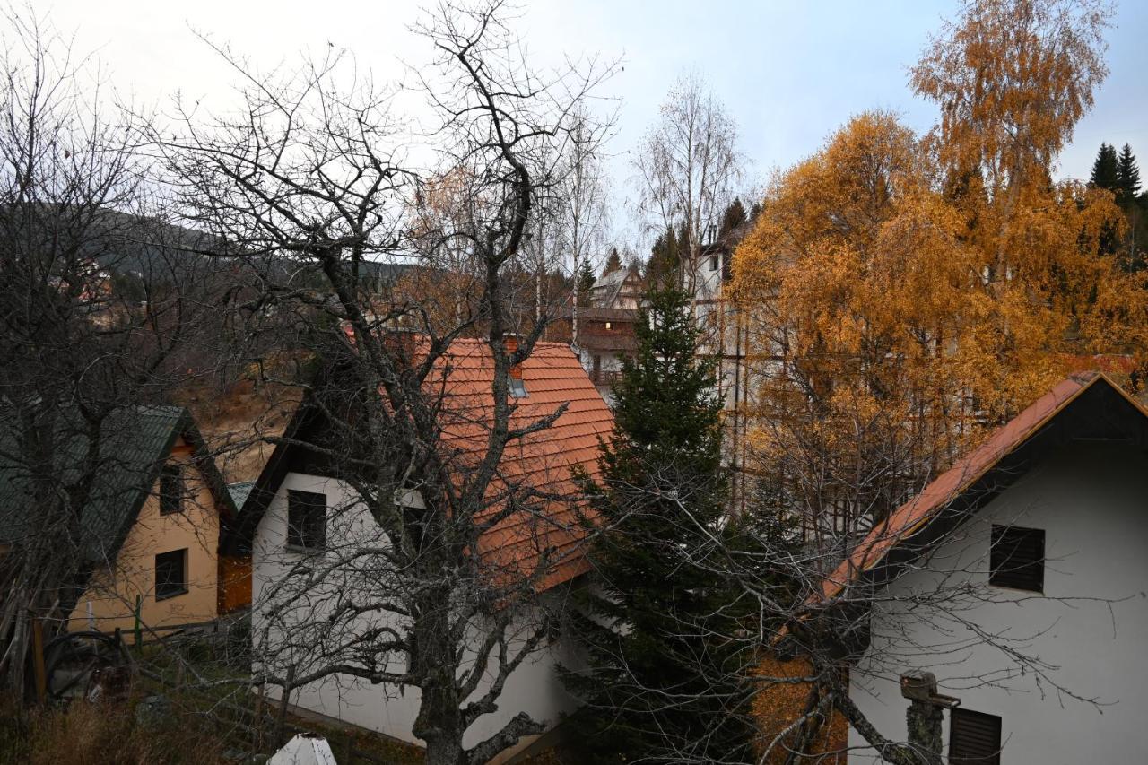 Apartman Vukasin Kopaonik Exteriér fotografie