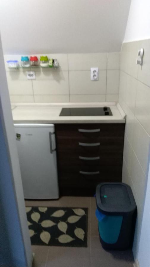 Apartman Vukasin Kopaonik Exteriér fotografie